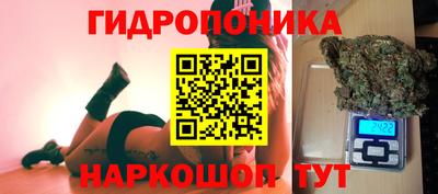 прущие грибы Пушкино
