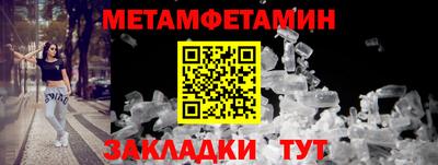 прущие грибы Пушкино