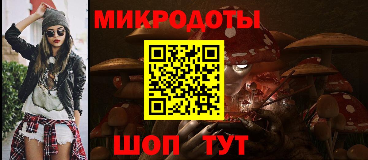 Галлюциногенные грибы Psilocybe Печора